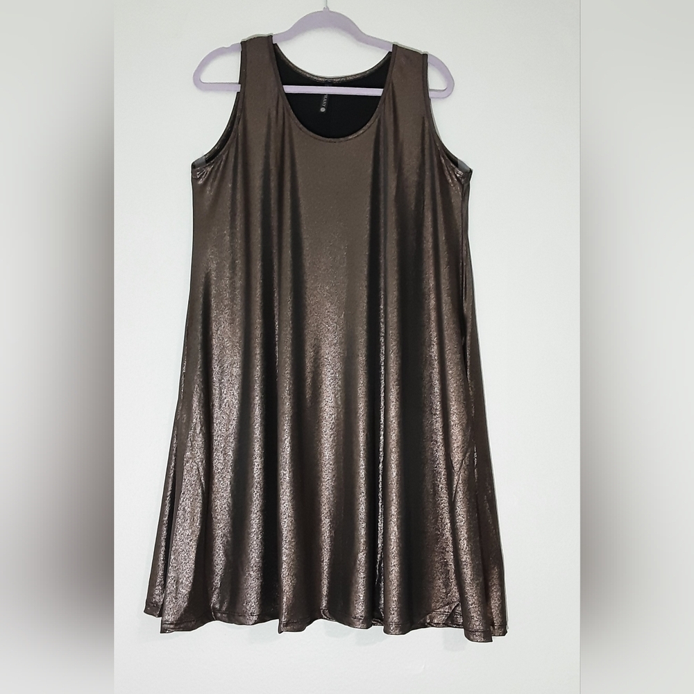 Piphany Black and Silver Drees Size L.